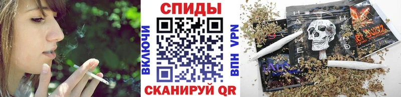 купить   Салаир  Бутират BDO 33% 