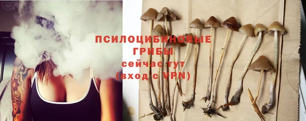 твердый Пересвет