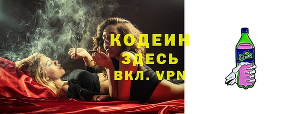 твердый Пересвет